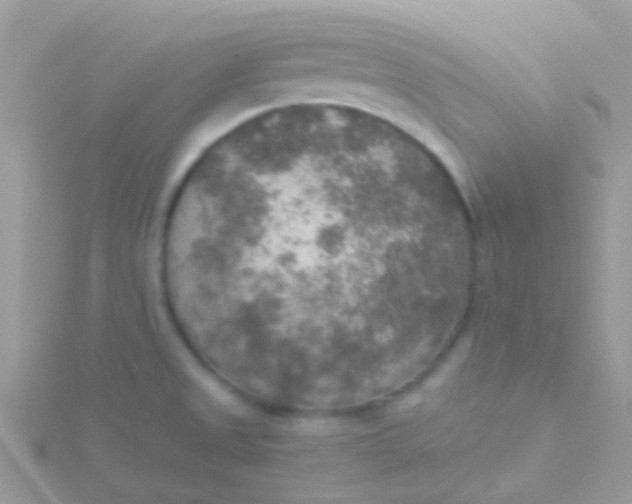 X0000115581525200911241501