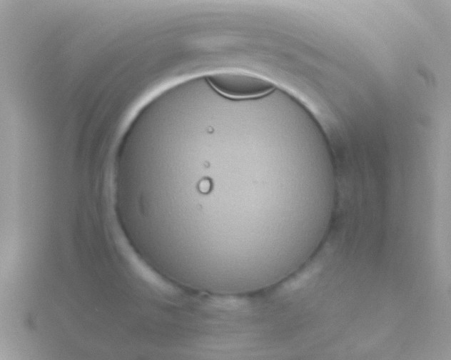 X0000115581526200911241502