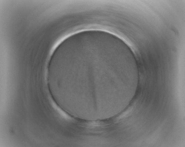 X0000115581527200911241502