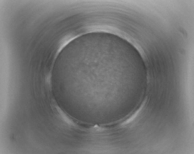 X0000115581529200911241502