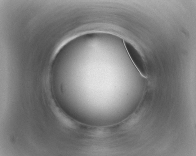 X0000115581530200911241502