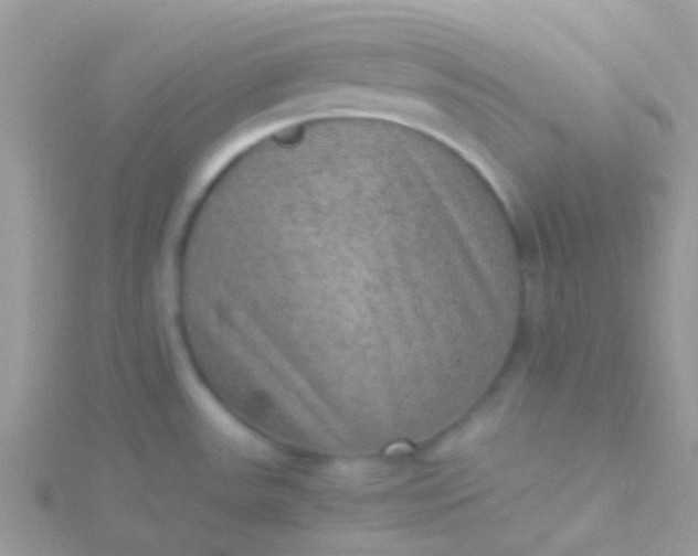 X0000115581531200911241502