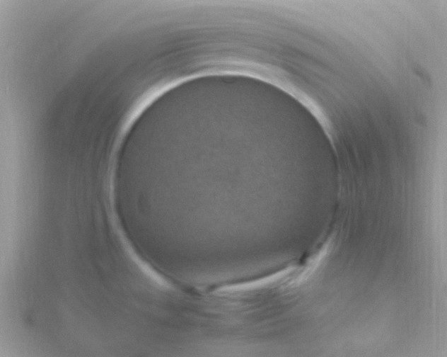 X0000115581533200911241502