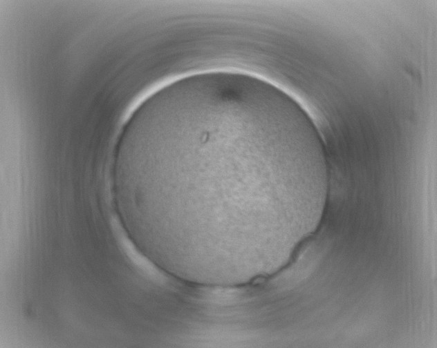 X0000115581534200911241502