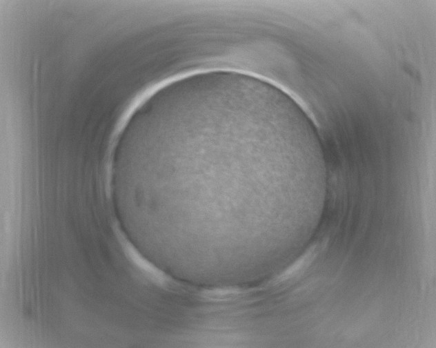 X0000115581535200911241502