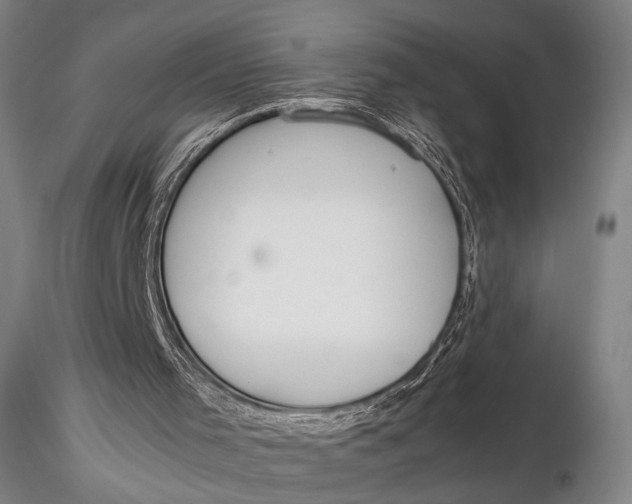 X0000115580001200912011450