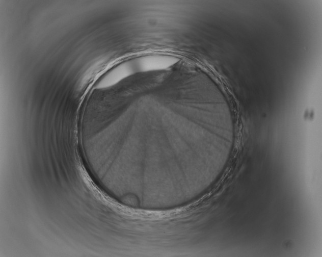 X0000115580002200912011450