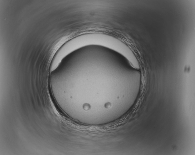 X0000115580003200912011450