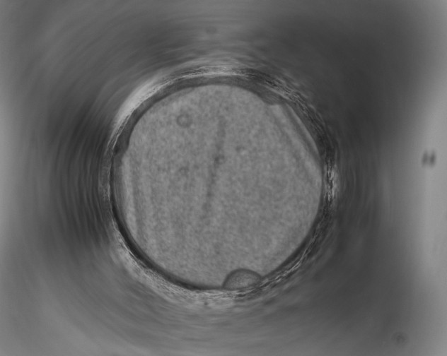 X0000115580004200912011450