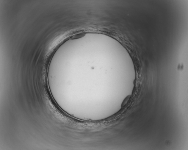 X0000115580005200912011450