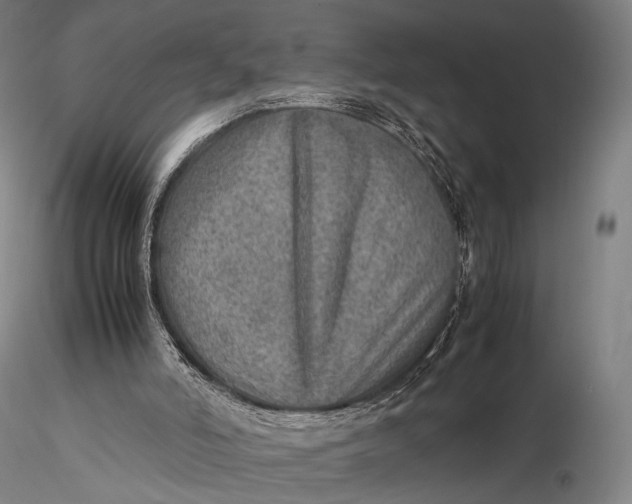 X0000115580006200912011450