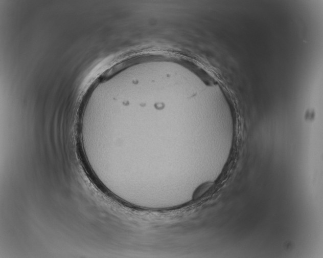 X0000115580007200912011450