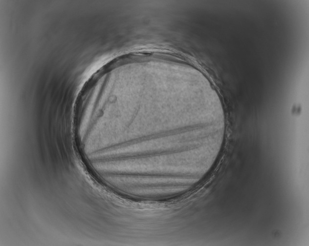 X0000115580008200912011450