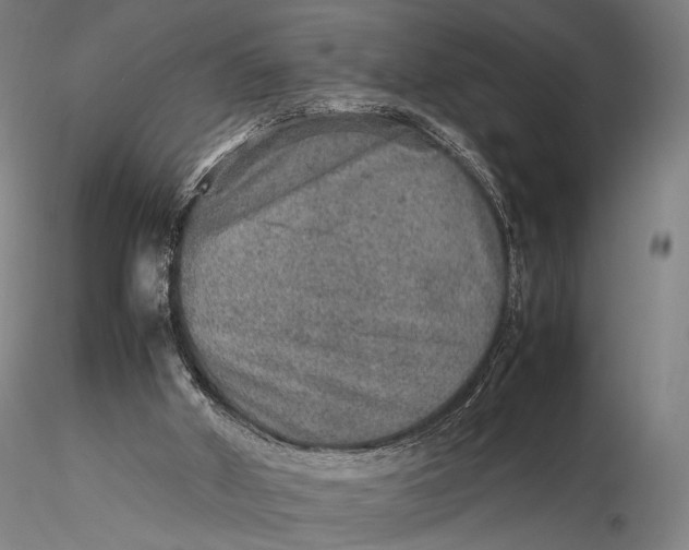 X0000115580010200912011450