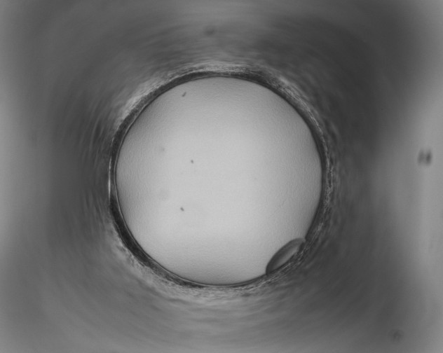 X0000115580011200912011450