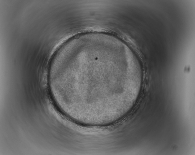 X0000115580012200912011450