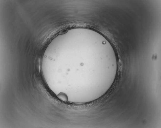 X0000115580013200912011450