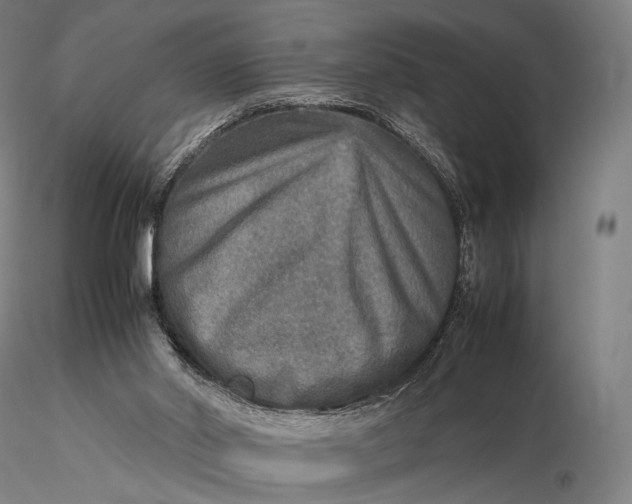 X0000115580014200912011450