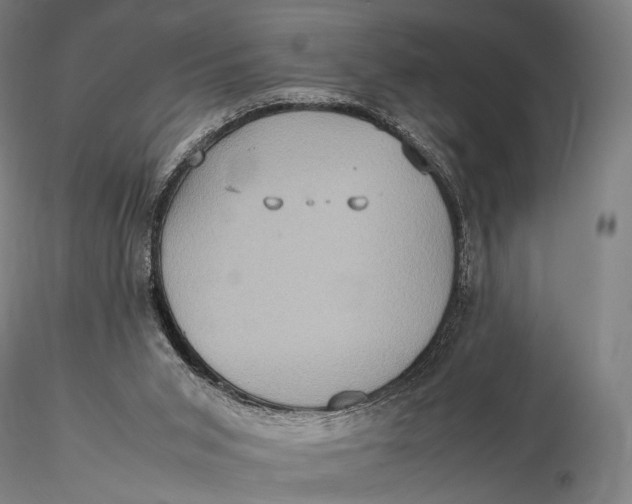 X0000115580015200912011450