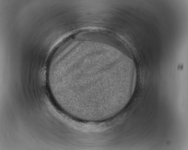 X0000115580016200912011450