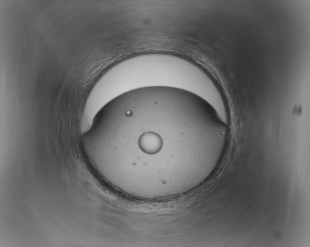 X0000115580017200912011450