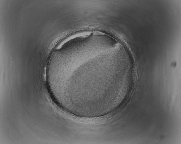 X0000115580019200912011450