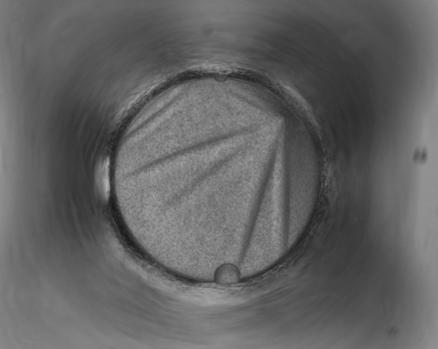 X0000115580020200912011450