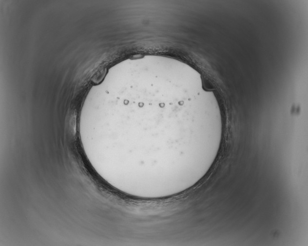 X0000115580021200912011450