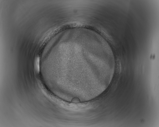 X0000115580022200912011450