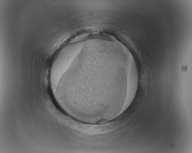 X0000115580023200912011450