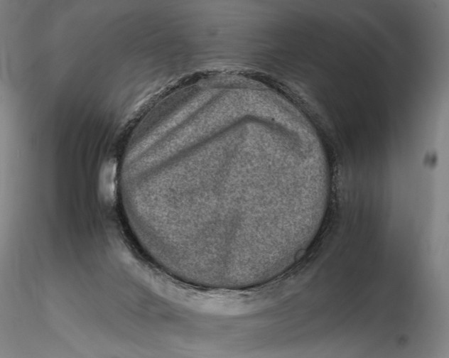 X0000115580024200912011450