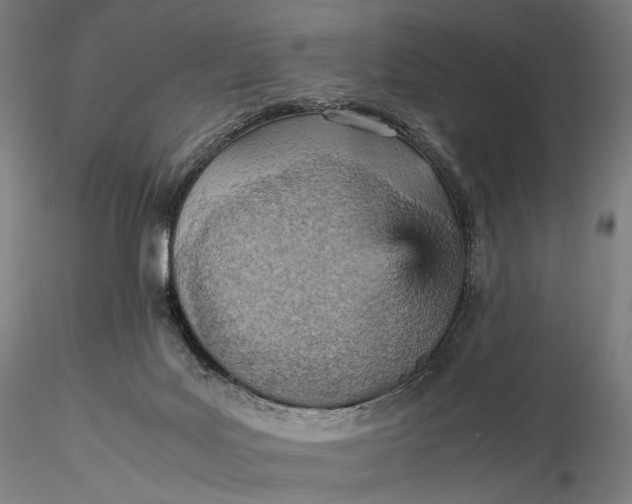 X0000115580027200912011449