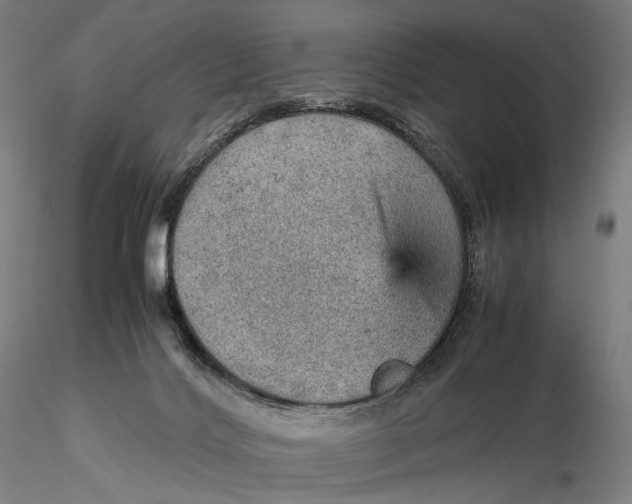 X0000115580028200912011449