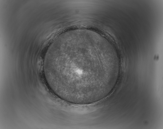 X0000115580029200912011449