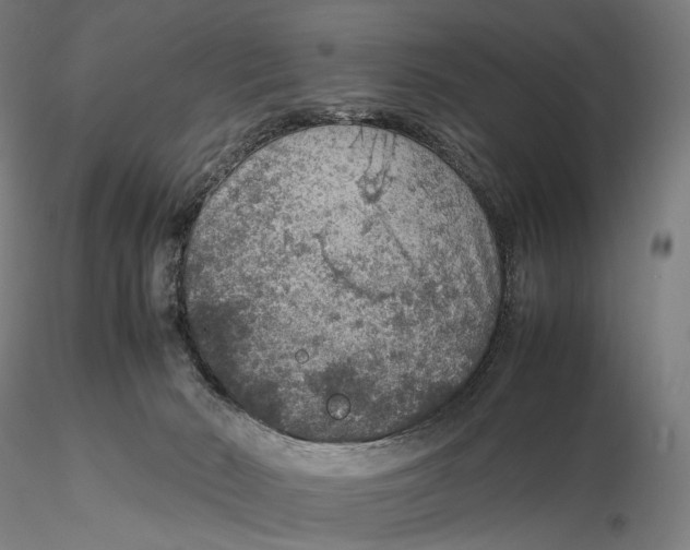 X0000115580030200912011449