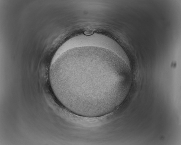 X0000115580031200912011449