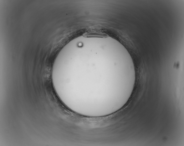 X0000115580033200912011449