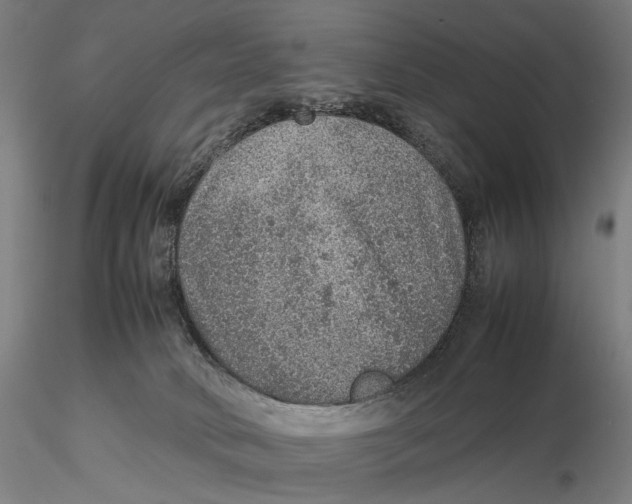 X0000115580034200912011449