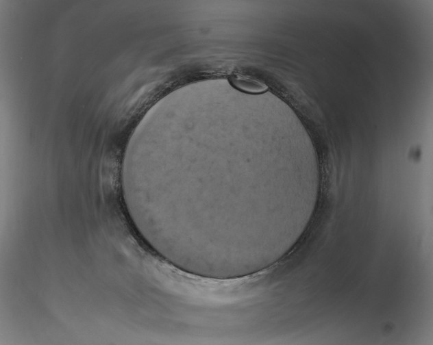 X0000115580035200912011449