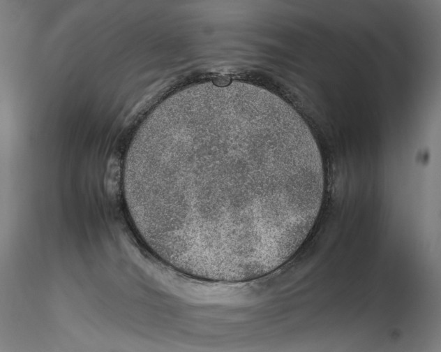 X0000115580036200912011449