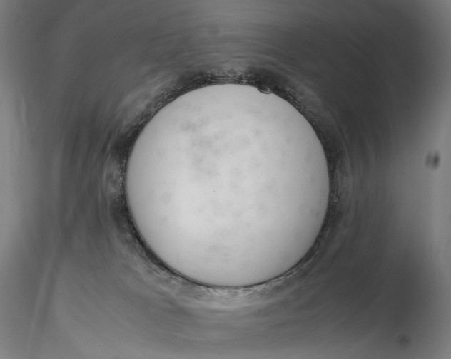 X0000115580037200912011449