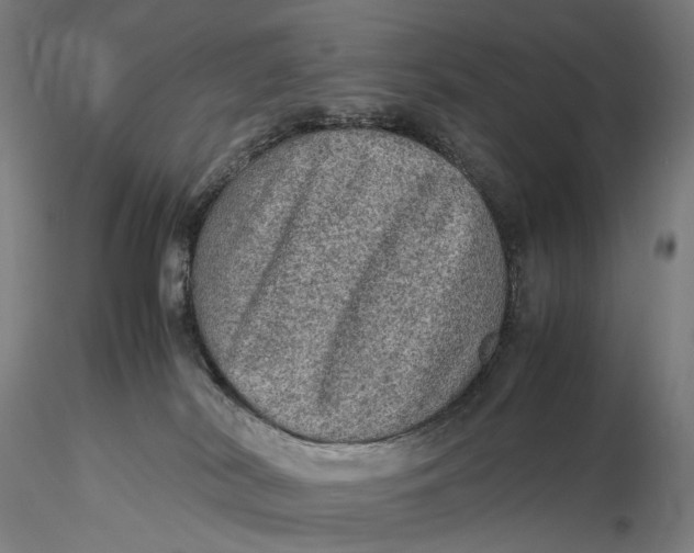 X0000115580038200912011449