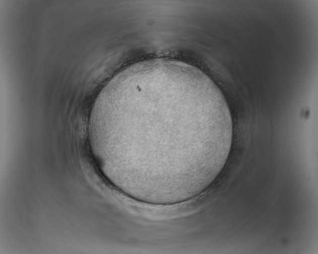 X0000115580039200912011449