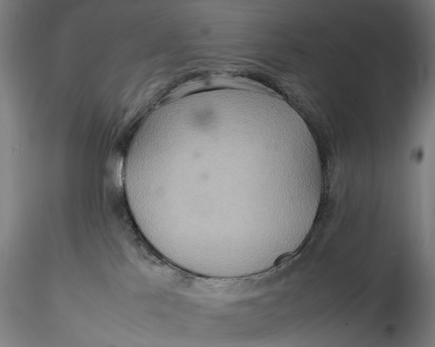 X0000115580041200912011449