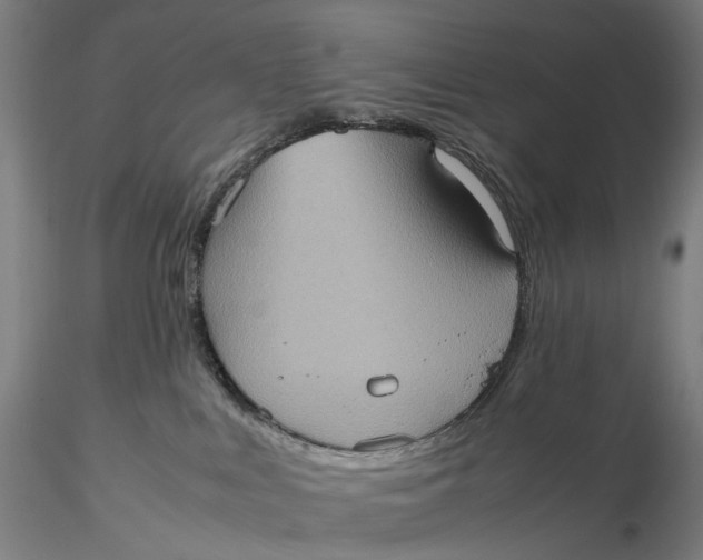 X0000115580043200912011449