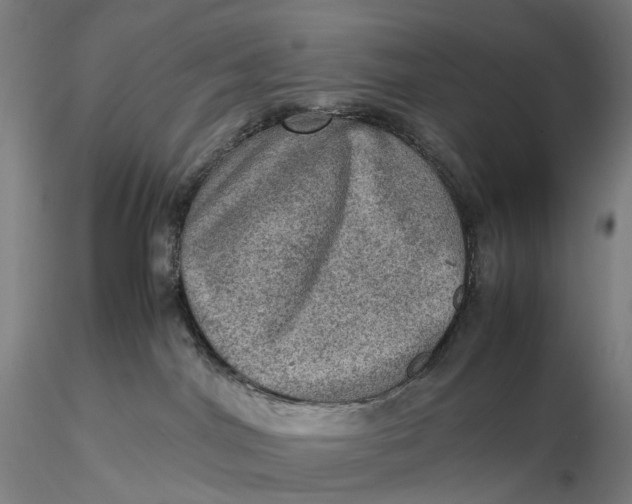 X0000115580044200912011449