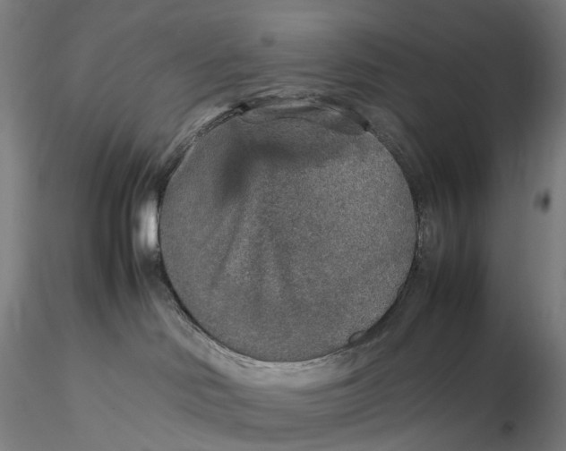 X0000115580046200912011449