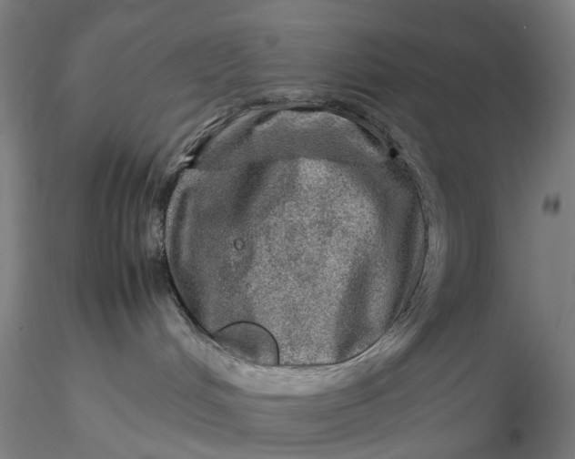 X0000115580048200912011449