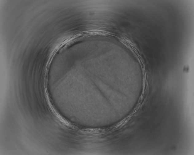 X0000115580049200912011448