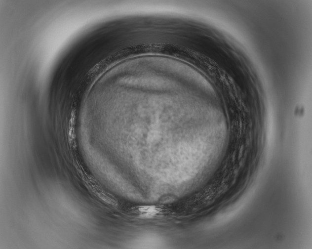 X0000115580050200912011448